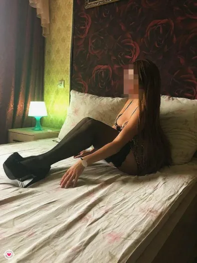 Миниатюра №14800:1